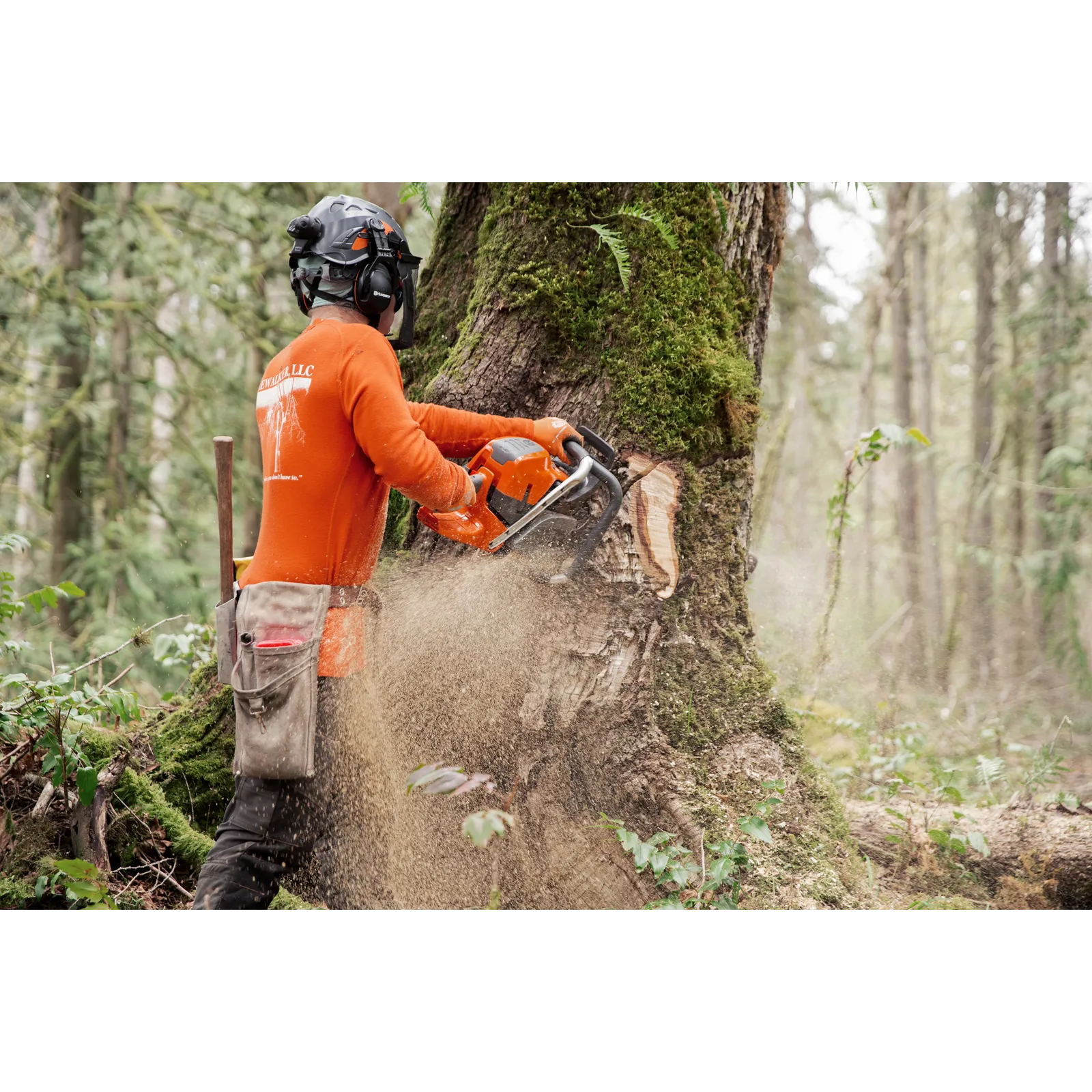 Husqvarna 592 XP® G – Bild 5