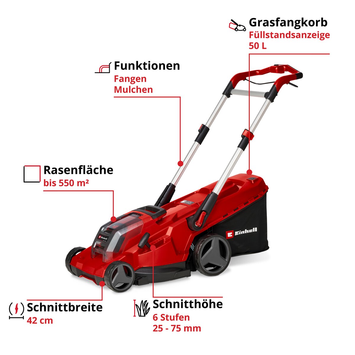 Einhell Akku-Rasenmäher GE-CM 36/550 (2x4,0 Ah) – Bild 4