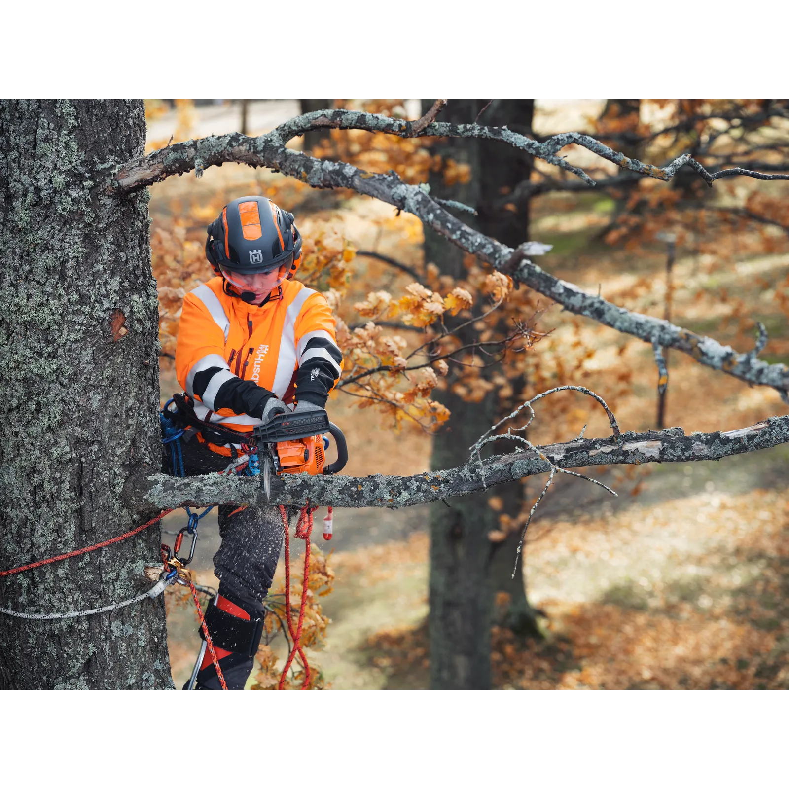 Husqvarna T435 – Bild 3