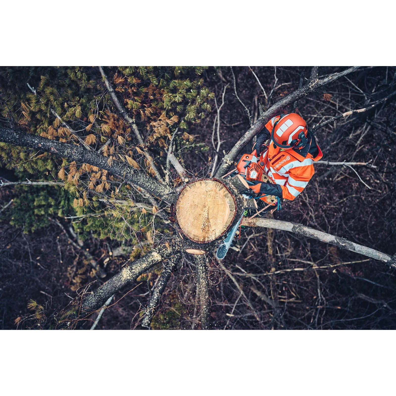 Husqvarna 562 XP® Mark II – Bild 3