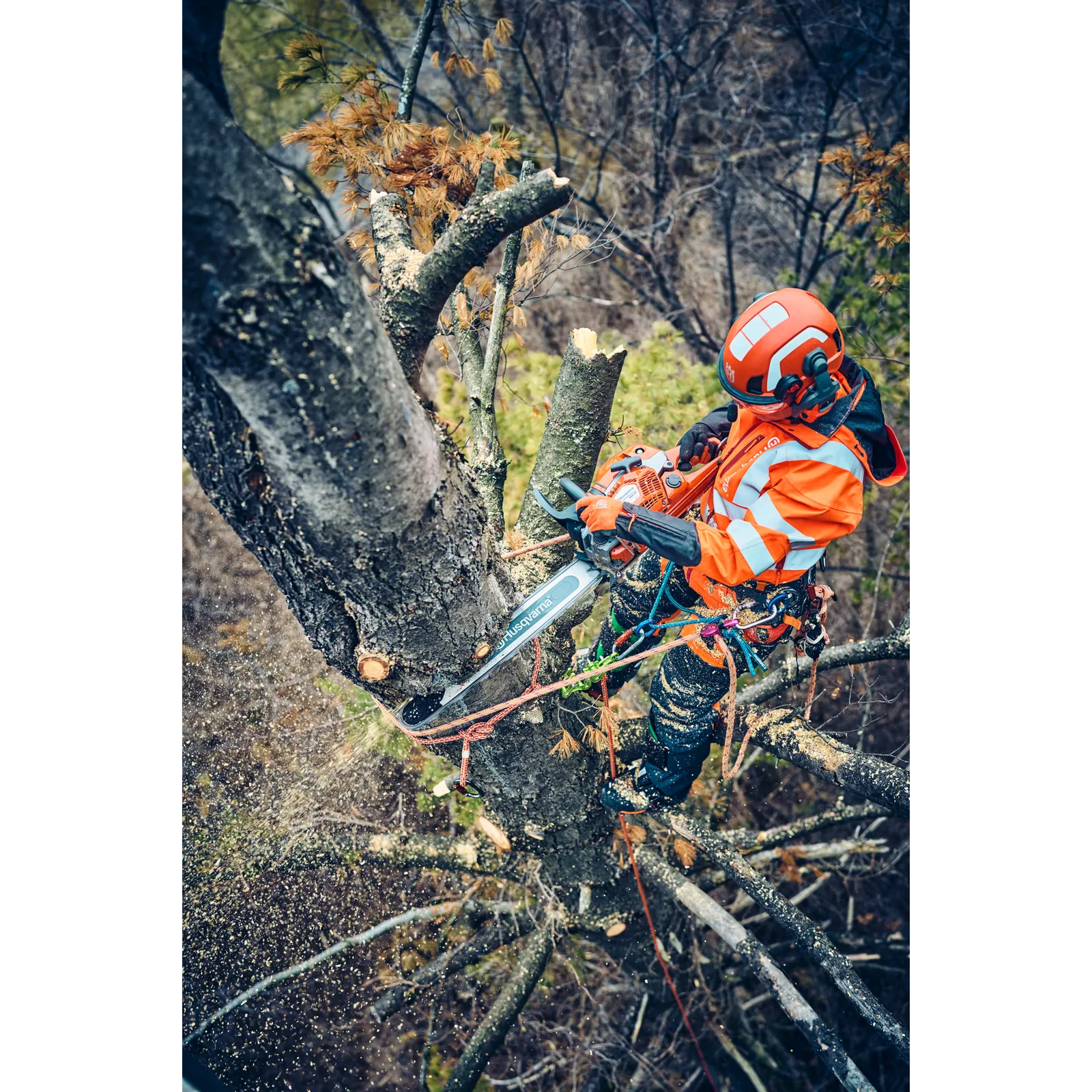 Husqvarna 560 XP® Mark II – Bild 5