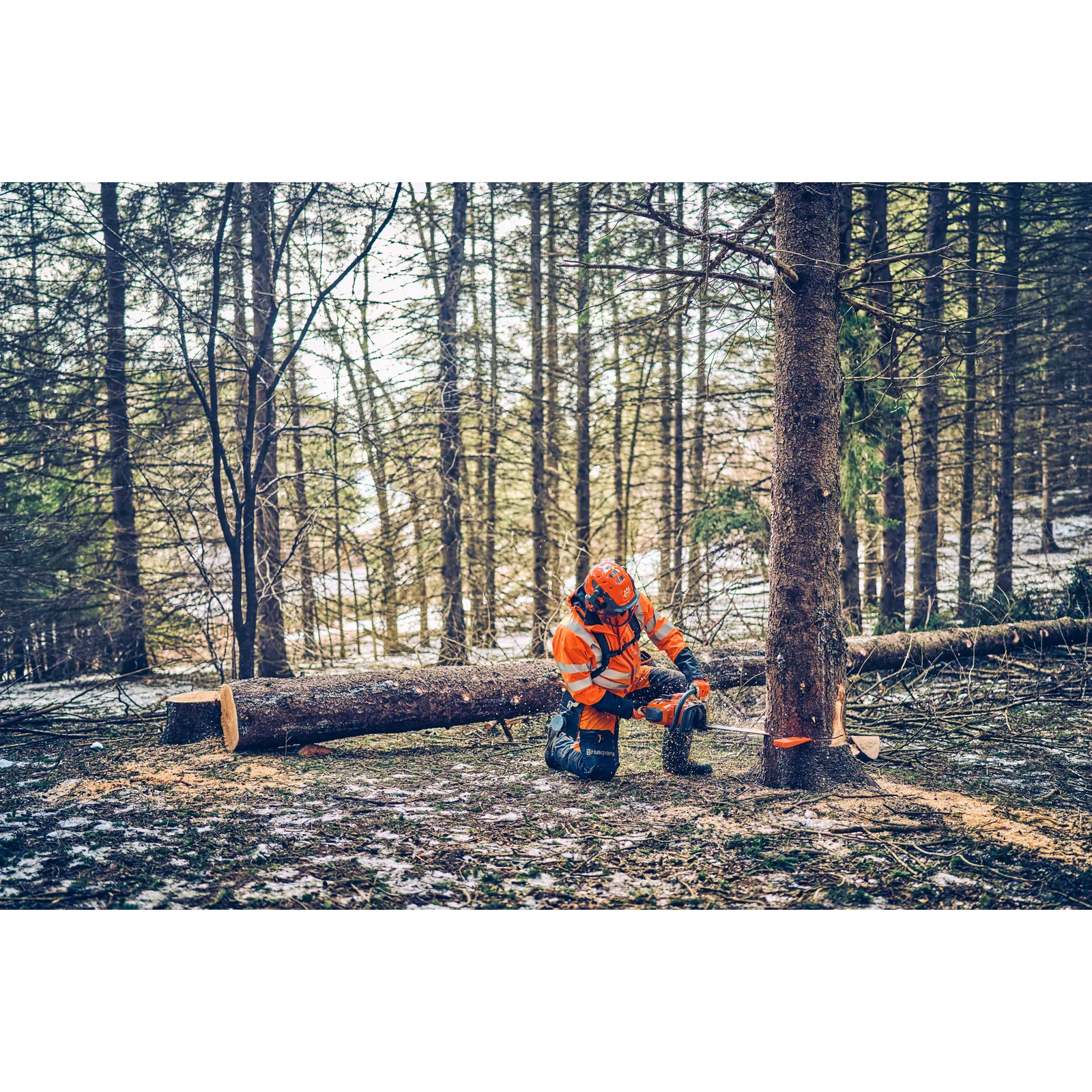 Husqvarna 562 XP® Mark II – Bild 5