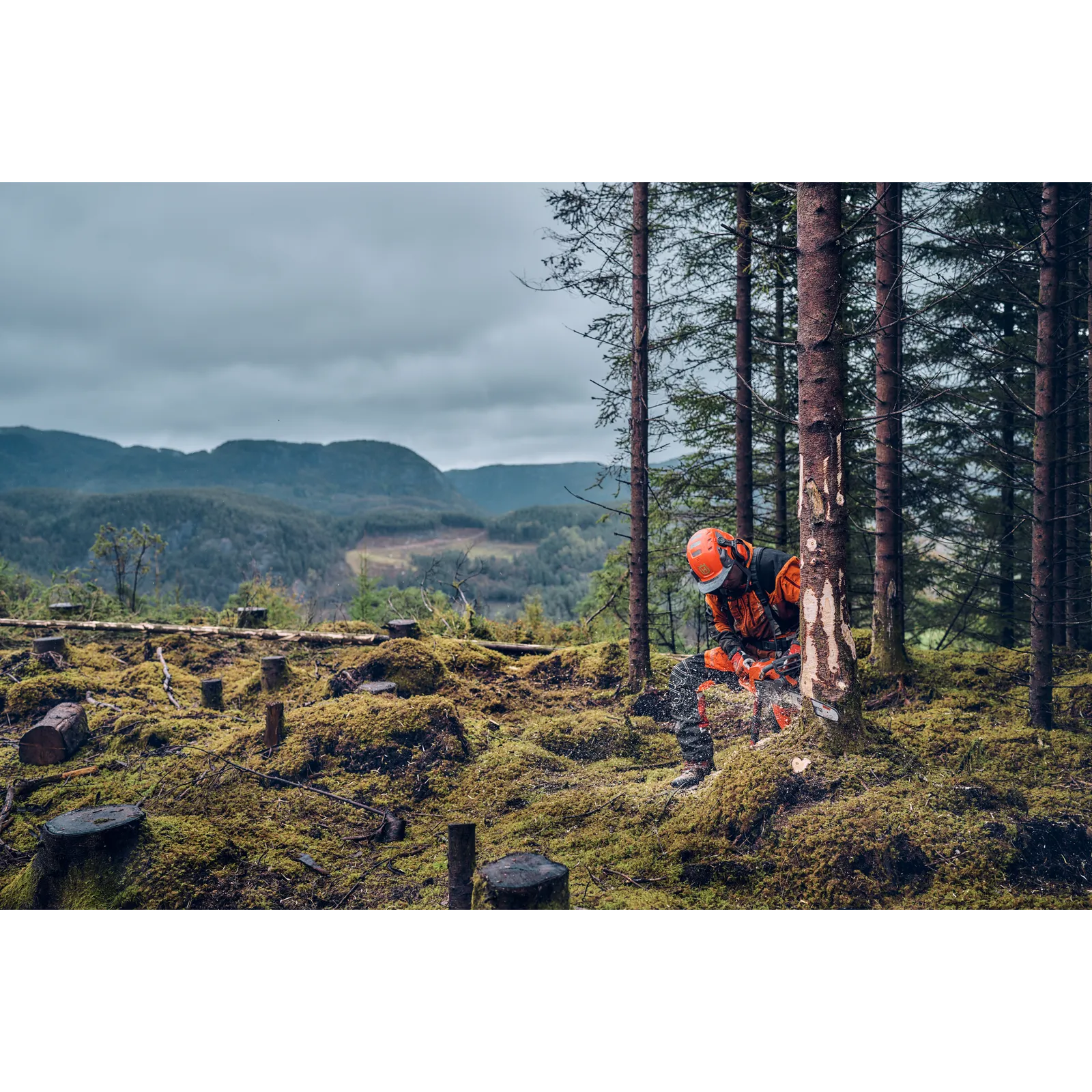 Husqvarna 540 XP® Mark III – Bild 4
