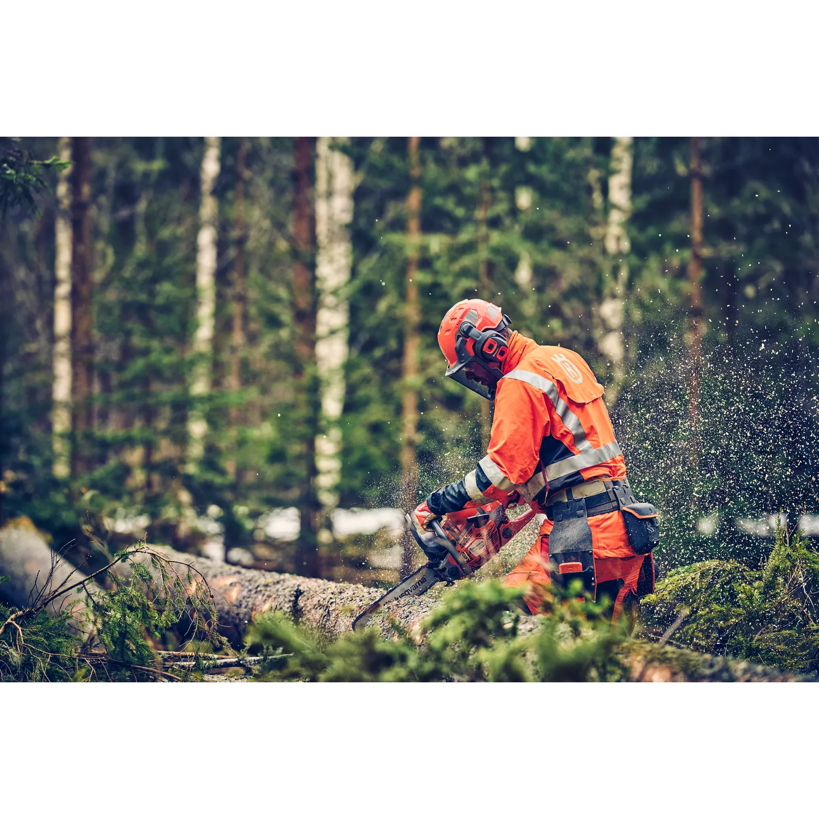 Husqvarna 560 XP® Mark II – Bild 6